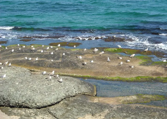 Хотел Romance Китен